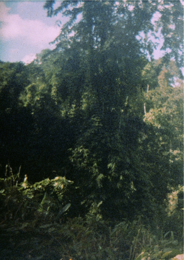 Image 18