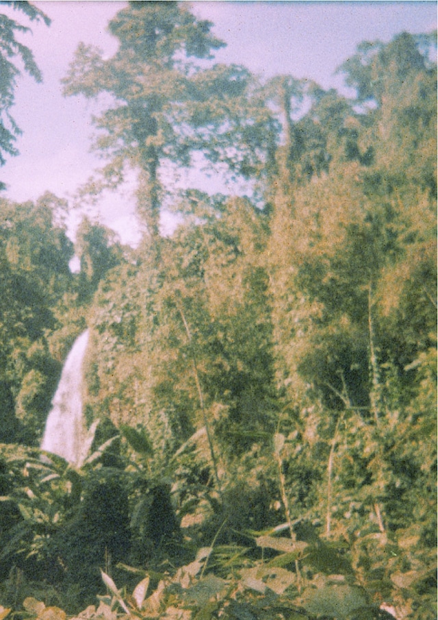 Image 17