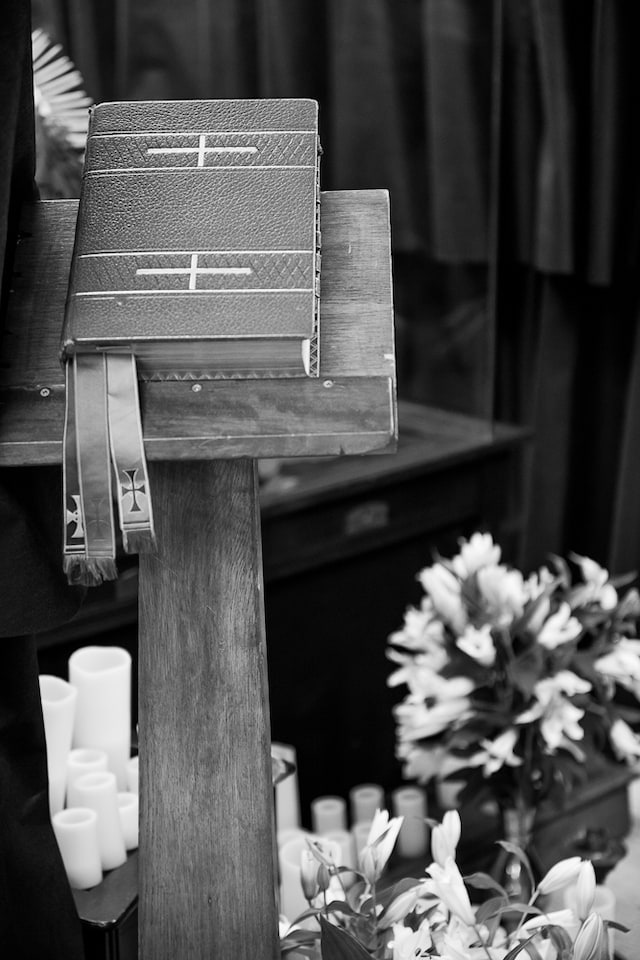 Image 15