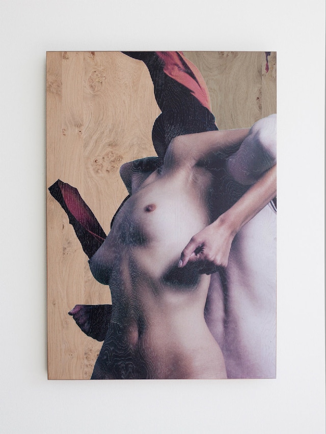 The Warm Light of Friendship (Phoebe) 2012 4