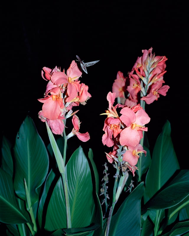 Image 22