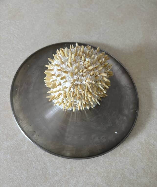 Brianna Hollingsworth Dishes 0