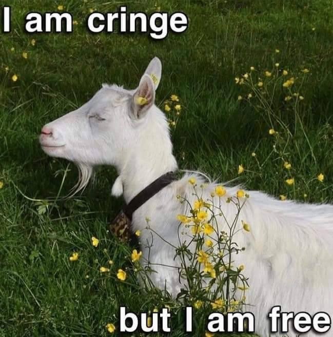 cringe goat