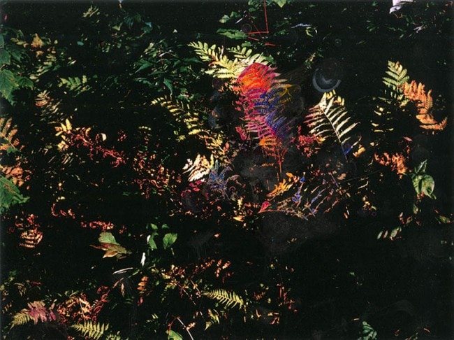 Image 0