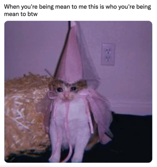 prey-mode-why-girls-are-pretending-to-be-cute-animals-online-dazed