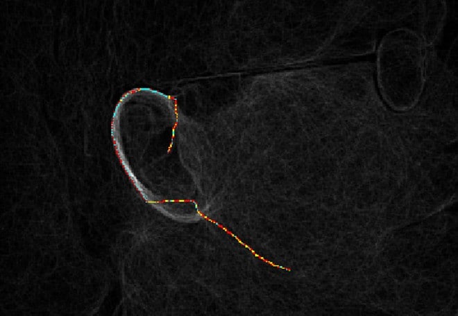 ear-biometric-ray-algorithm-cummings