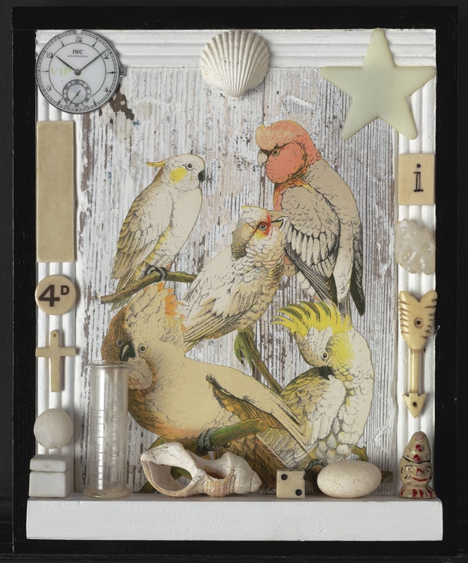 Homage to Joseph Cornell, Birds, 2010, Peter Blake 6