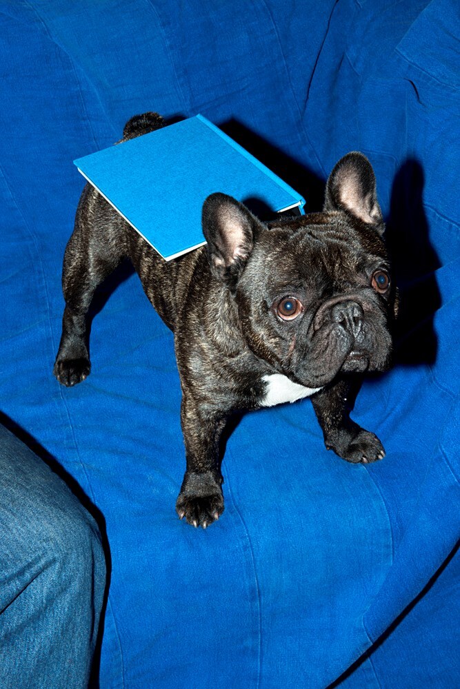 Self Publish Be Happy Nicolas Haeni, courtesy of Aperture