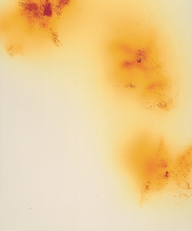 Blushes #105 Wolfgang Tillmans 2