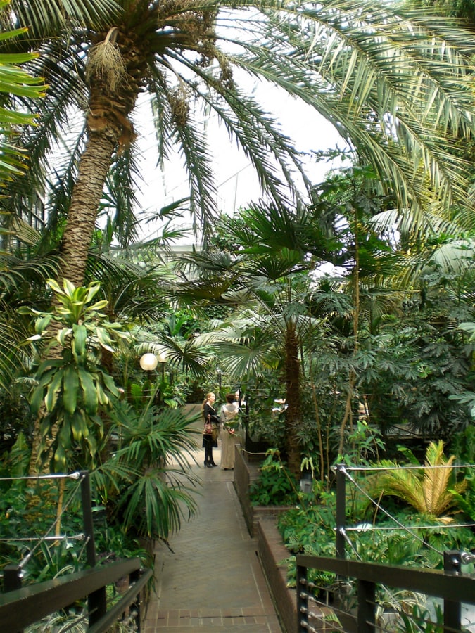 Inside the Barbican Conservatory
