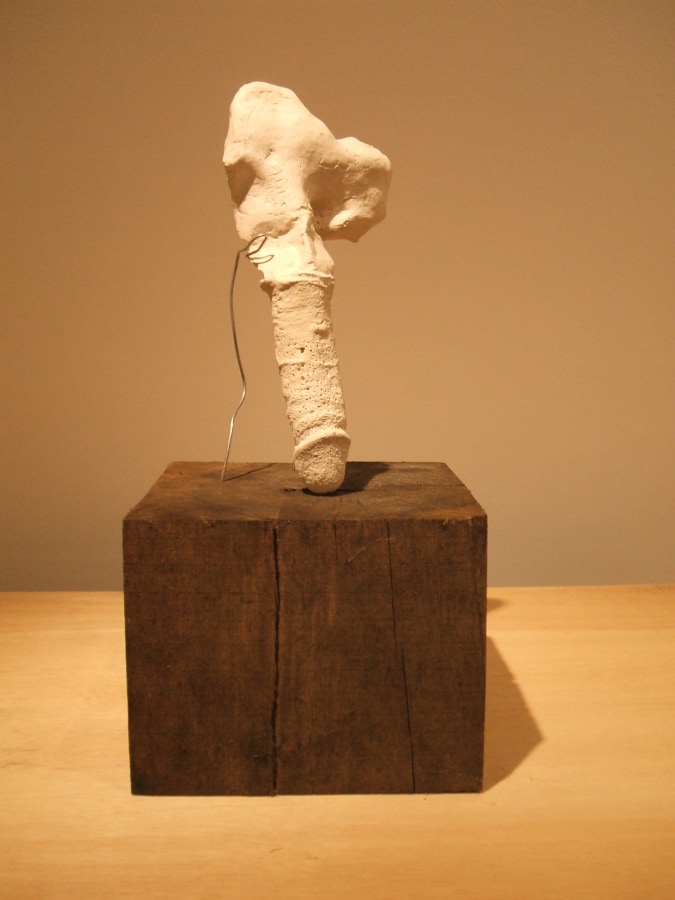 Sarah Lucas sculpture