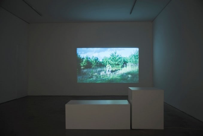 The Instability of the Image, installation view (6 9