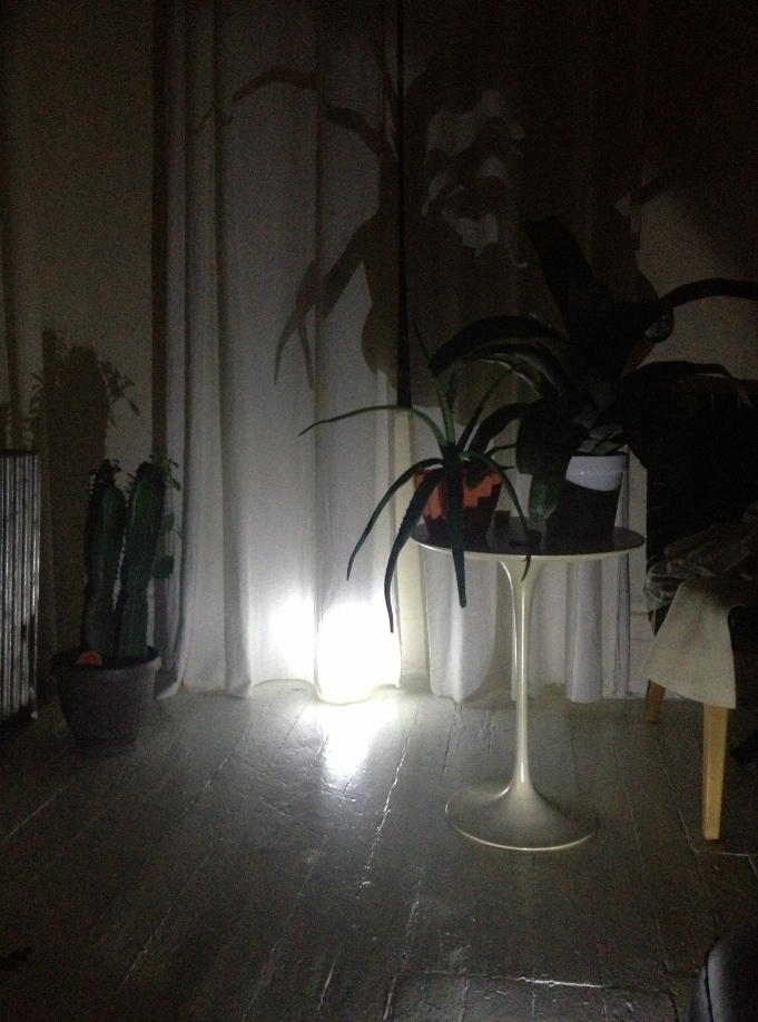 Cameron Mesirow's apartment during the blackout, s