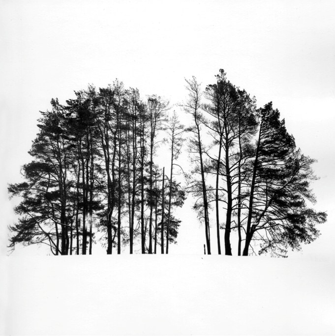 Arkhangelskoe Study #5 4