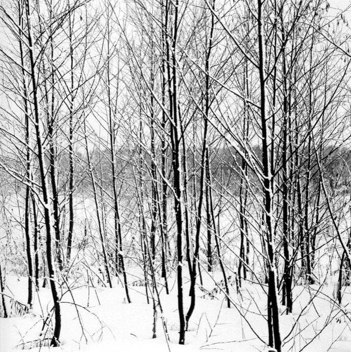 Snowy river Desna Study #7 10