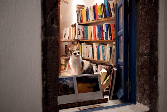 The interior of Atlantis Books. Image courtesy of 6