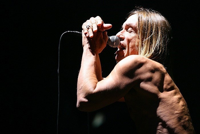 iggy