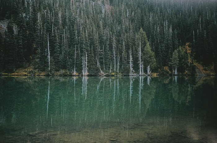 Image 14