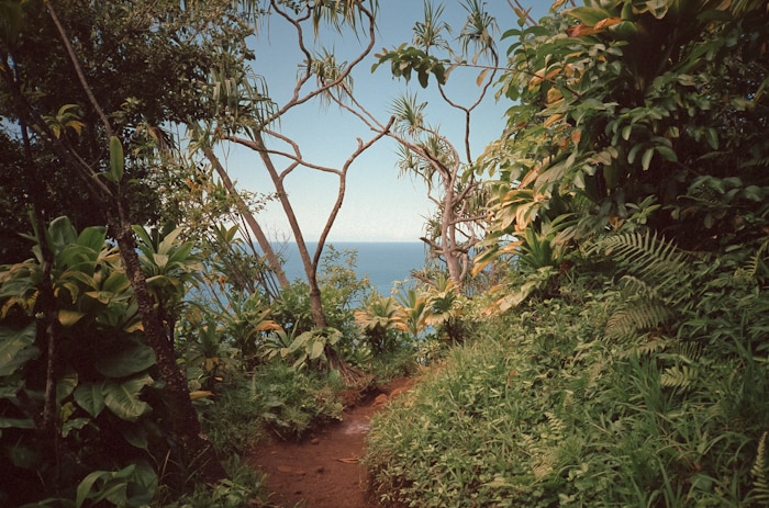 Image 13