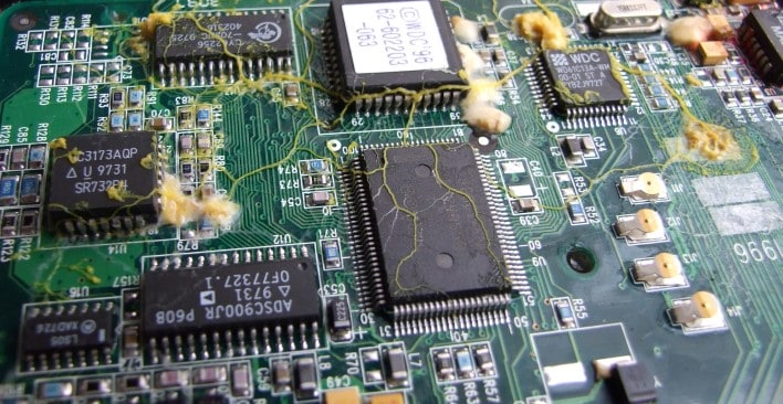 Banner - Physarum polycephalum growing on a circui