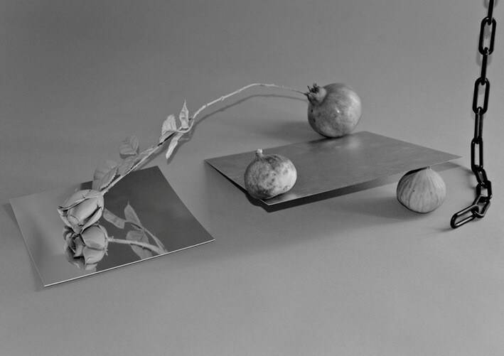 Alex Turgeon, A Rose by Any Other Name, 2013 0