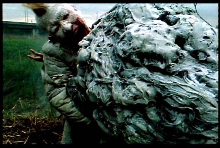 P964 image from Shozin Fukui3 5