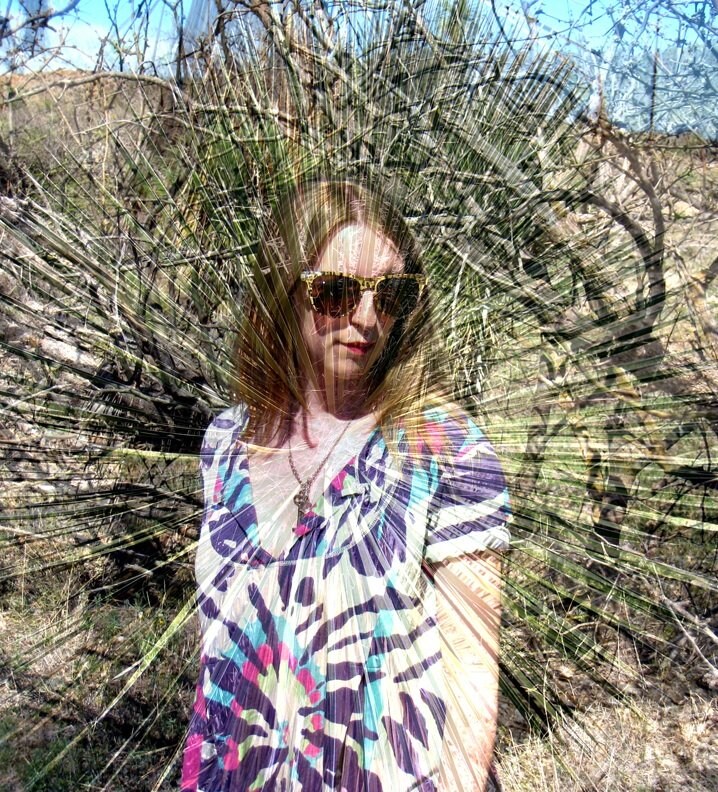 Text by Liz Colville