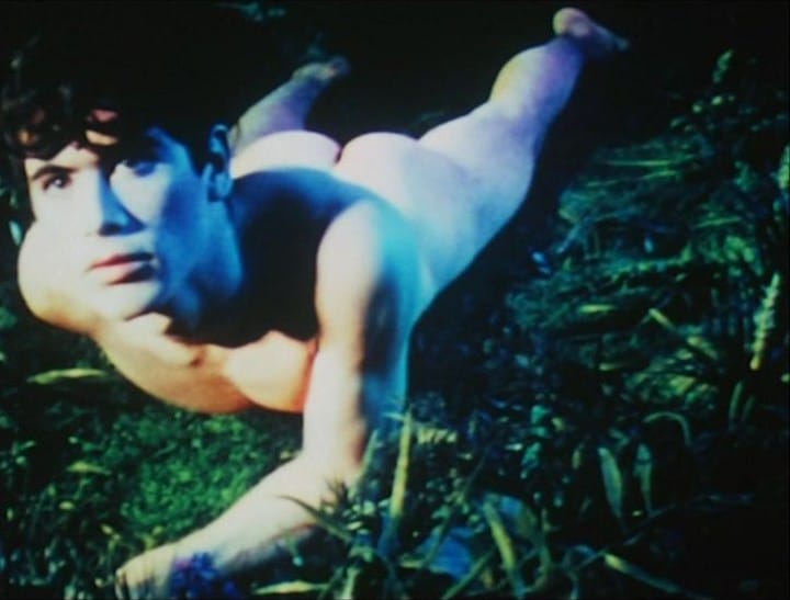 Pink Narcissus 3