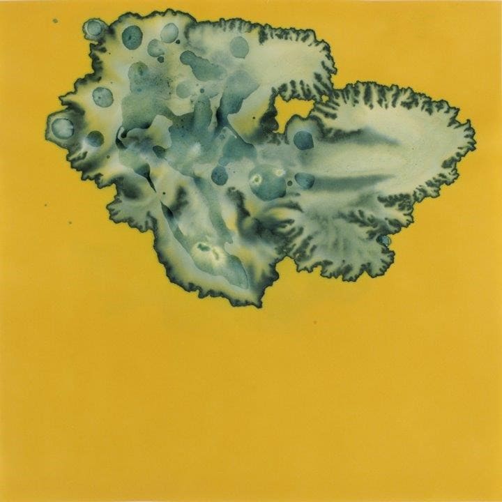 Solitary Pleasures 2