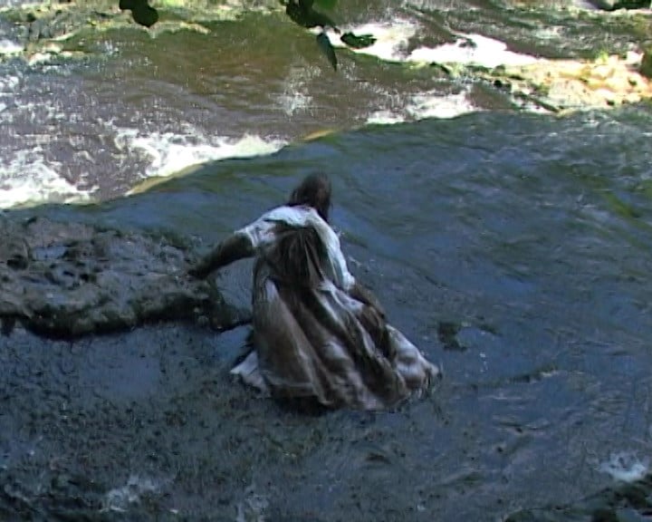 Ryan Skelton: Land Swallow 2