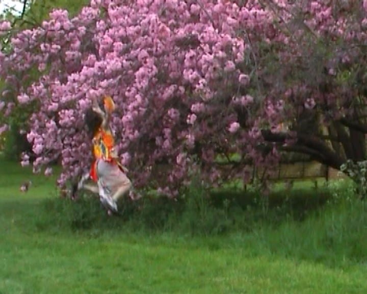 Ryan Skelton: Land Swallow