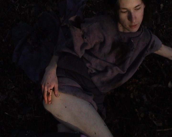 Ryan Skelton: Land Swallow 5