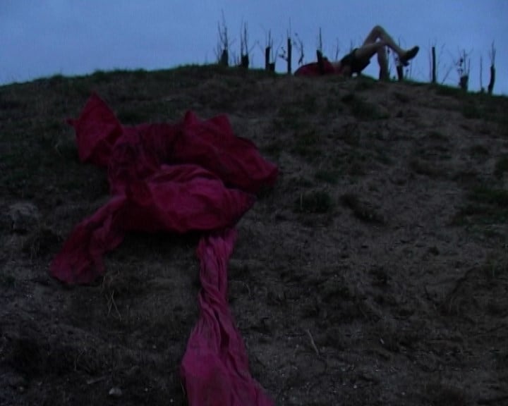 Ryan Skelton: Land Swallow 8