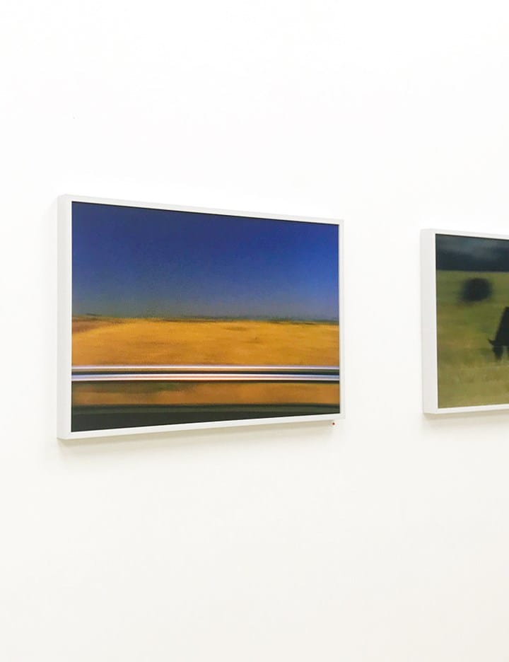 Julian Klincewicz’s Boys Grown Tall 11