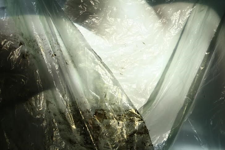 Natalie Yang’s I Can Be My Own Muse 1