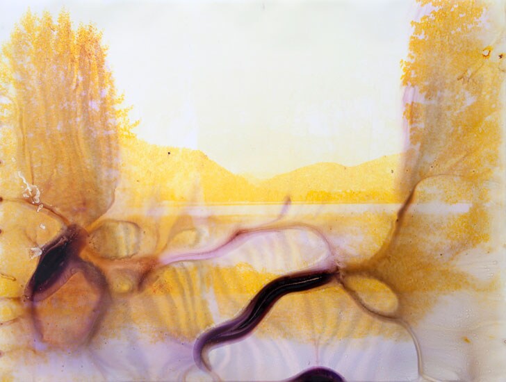 Image 15