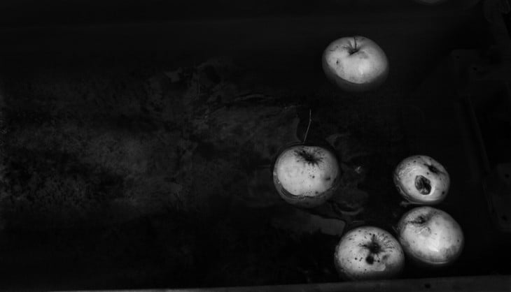 Apples. 2011 8