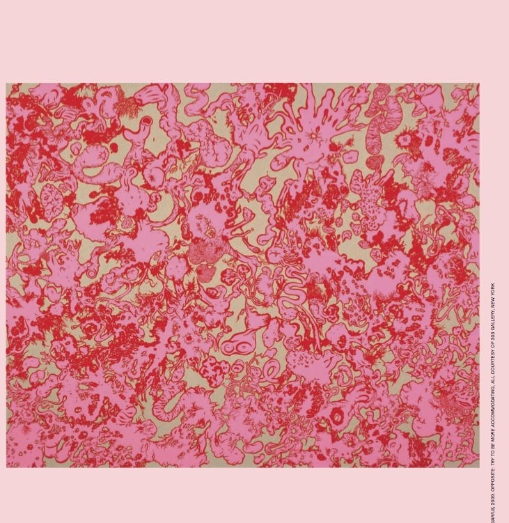 Sue Williams 4