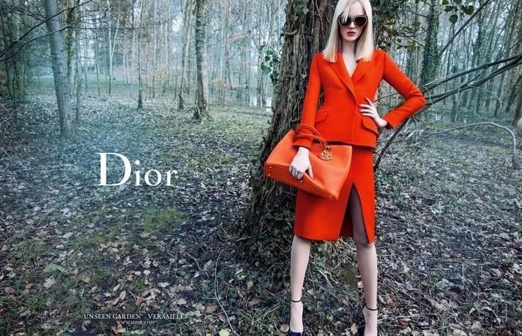 Dior Secret Gardens Inez &amp; Vinhood 24