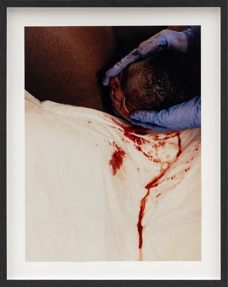 L HW0051 Birth (cropped) 12