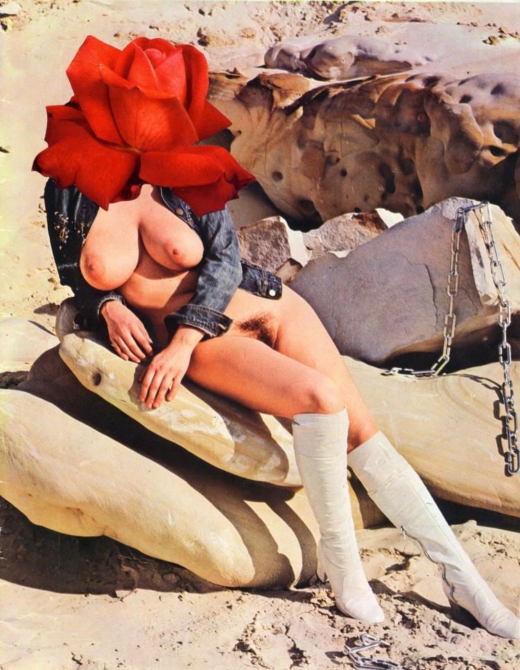 Linder, Star Series No.1, 2007 0