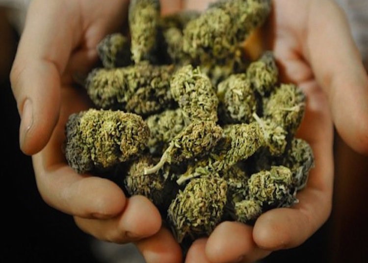 A Manchester drug dealer is giving away free weed | Dazed