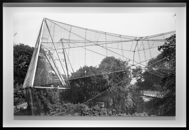 Aviary 2013 8