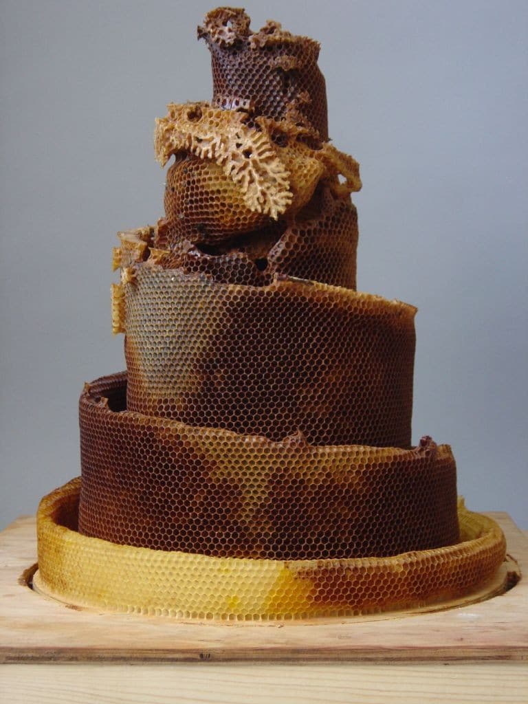 honeycomb sculpture