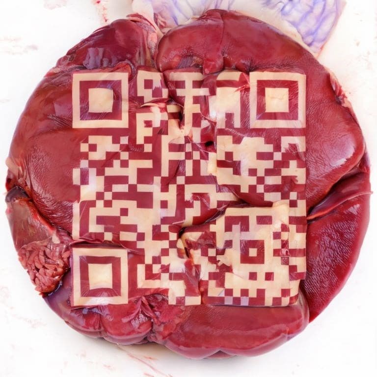 offal QR code