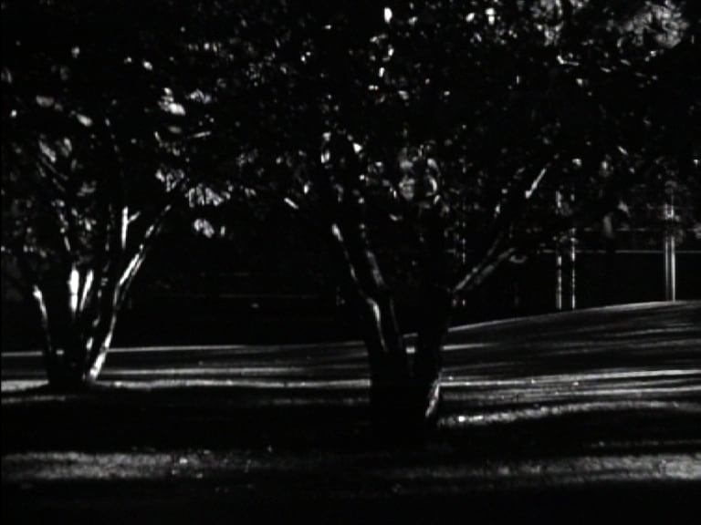 Kirk Palmer &#39;Chiaroscuro (mourning light)&#39; film st 6