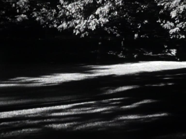 Kirk Palmer &#39;Chiaroscuro (mourning light)&#39; film st 5