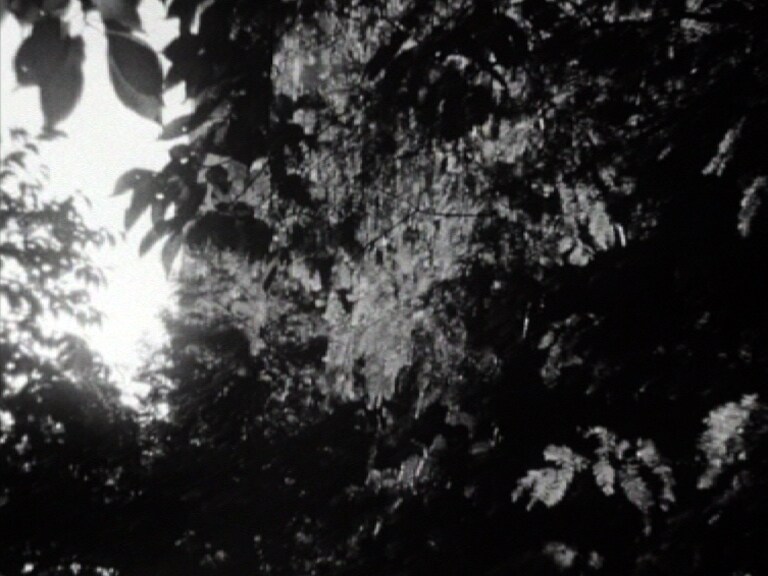 Kirk Palmer &#39;Chiaroscuro (mourning light)&#39; film st 4