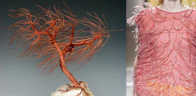 DRIES_VAN_NOTEN