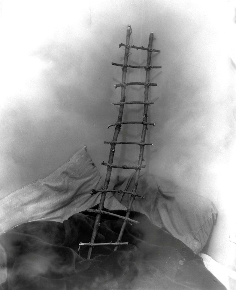 tommynease19 12